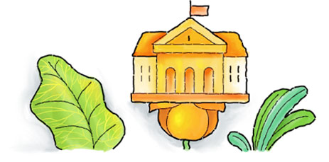 Next Learning platform